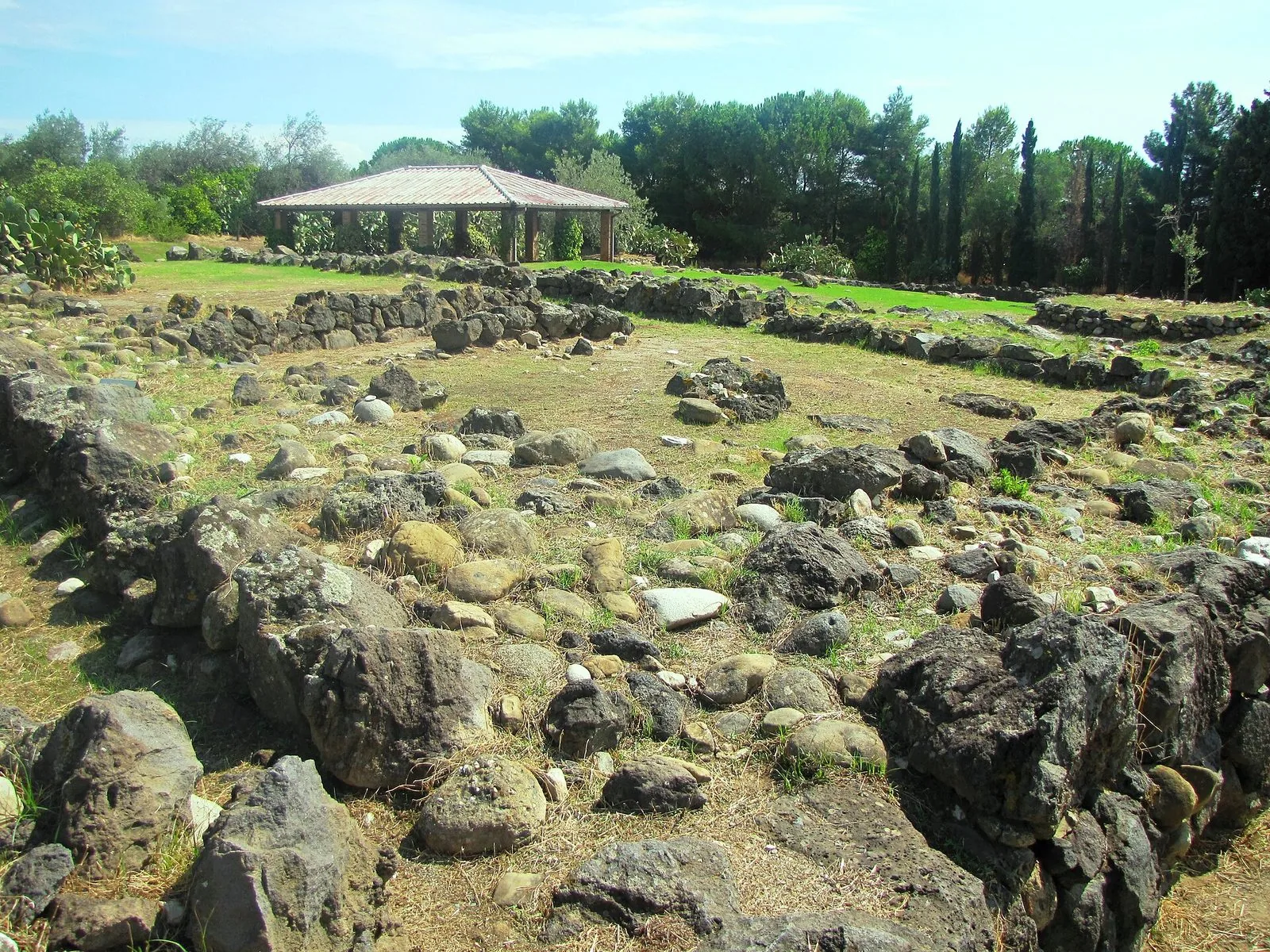 Resti di muri in pietra lavica scura e ciottoli nell'area archeologica di Naxos, con un prato, una tettoia di protezione in legno e una cortina di pini, cipressi e fichi d'India sullo sfondo